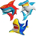 7.webp