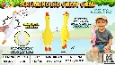 image (18).webp