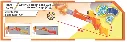 image (66).webp