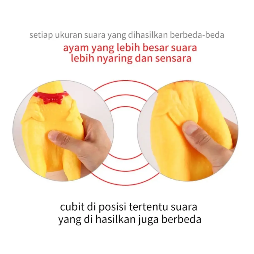 3.webp