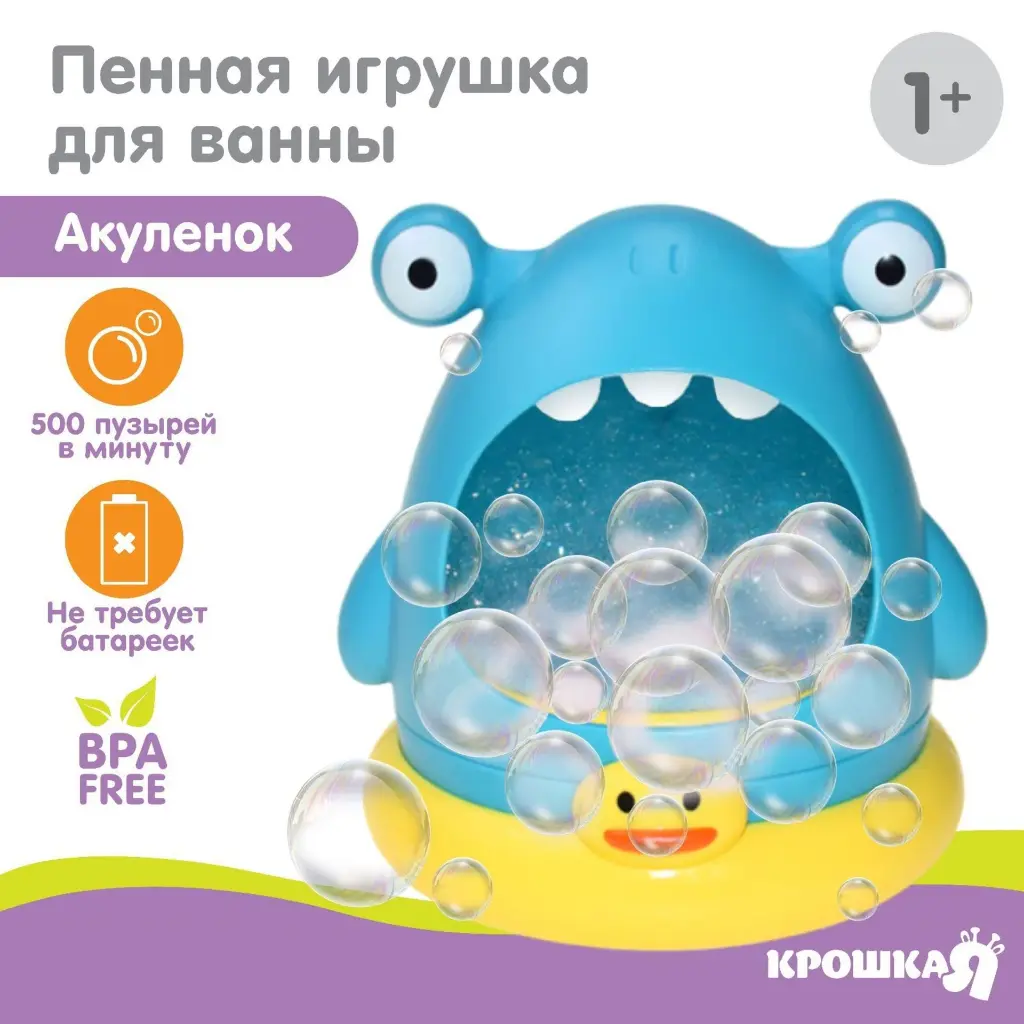 5.webp