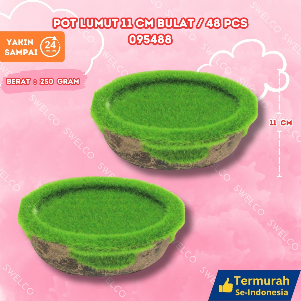 POT LUMUT 11CM BULAT/48PCS