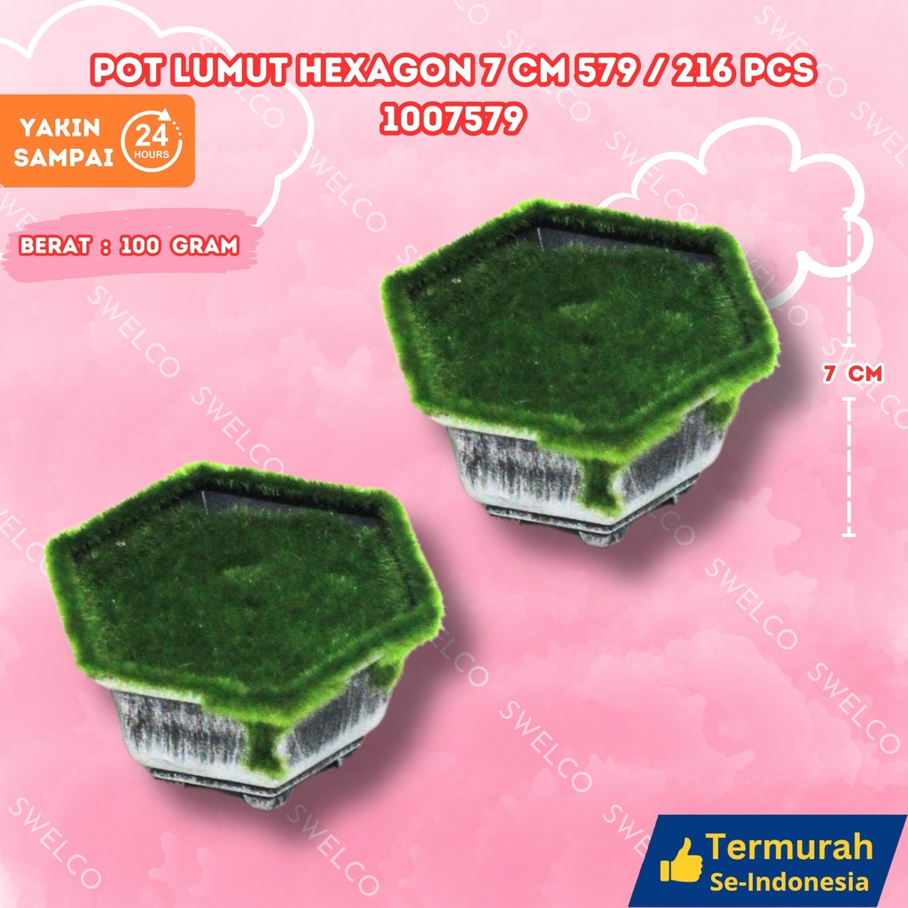 [1007579] POT LUMUT HEXAGON 7CM 579/216PCS
