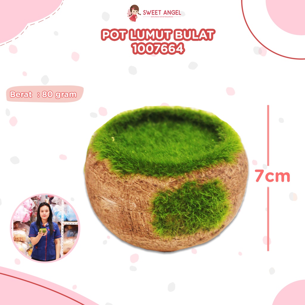 [1007664] POT LUMUT BULAT 7CM 664/120PCS