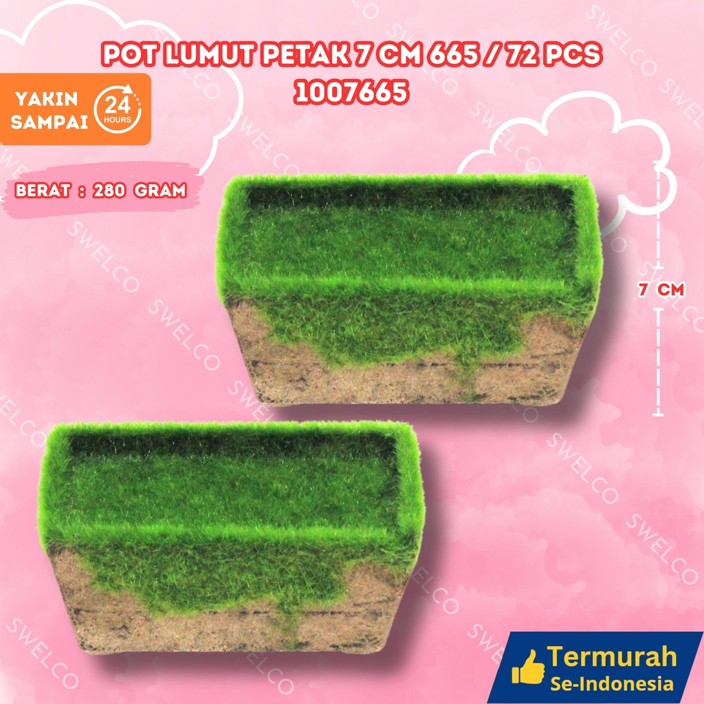POT LUMUT PETAK 7CM 665/72PCS