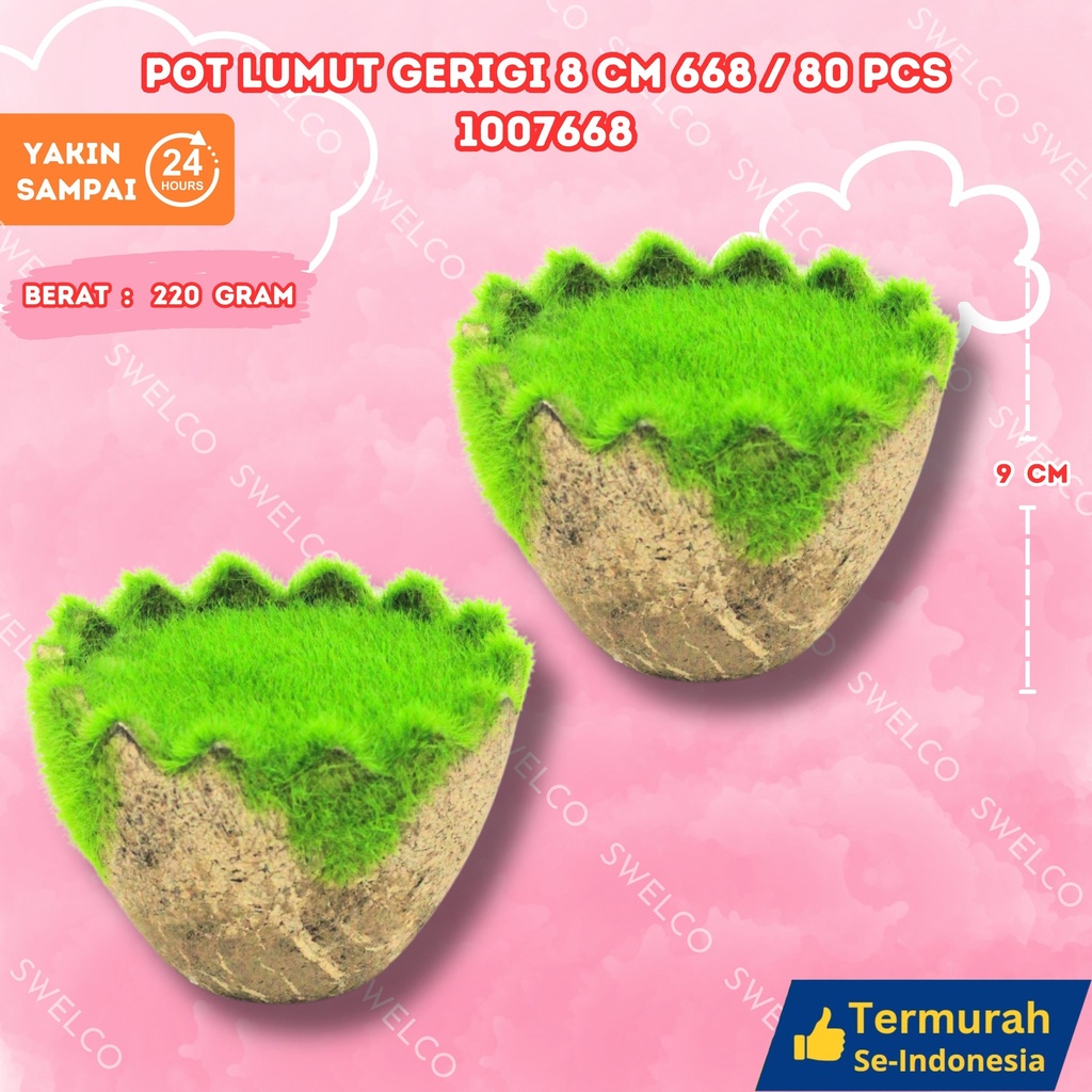 POT LUMUT GERIGI 8CM 668/80PCS