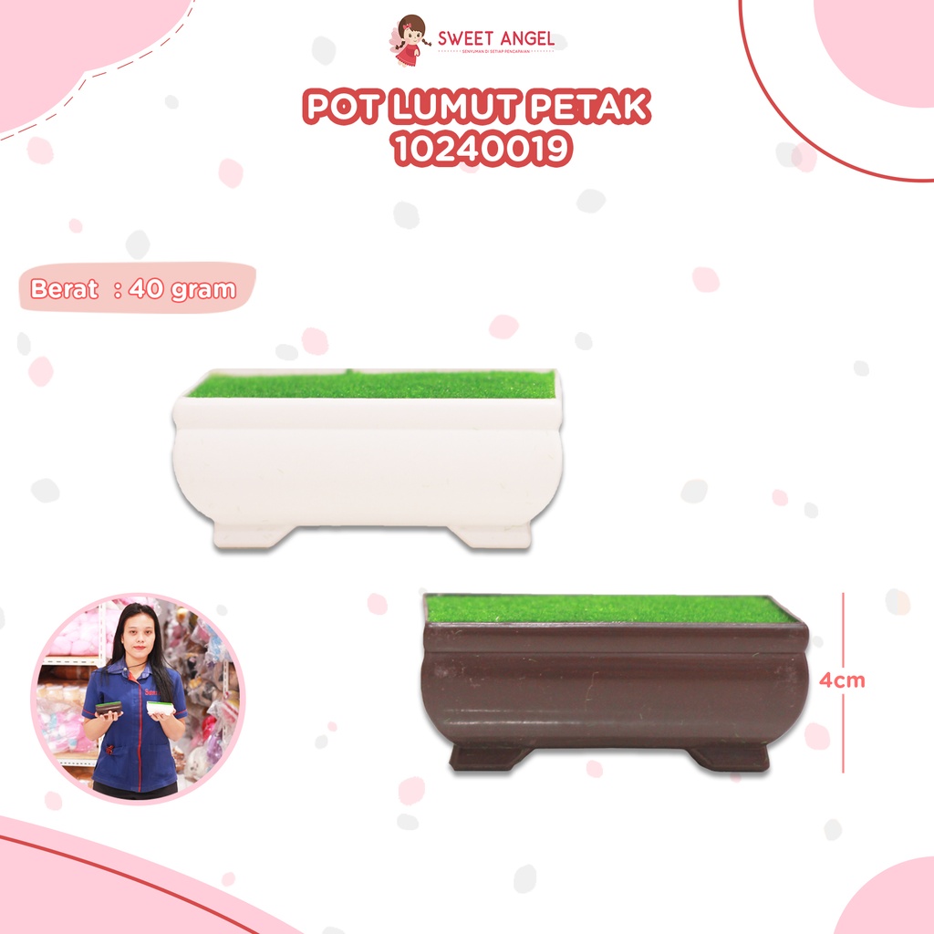 POT LUMUT PETAK 4CM/315PCS