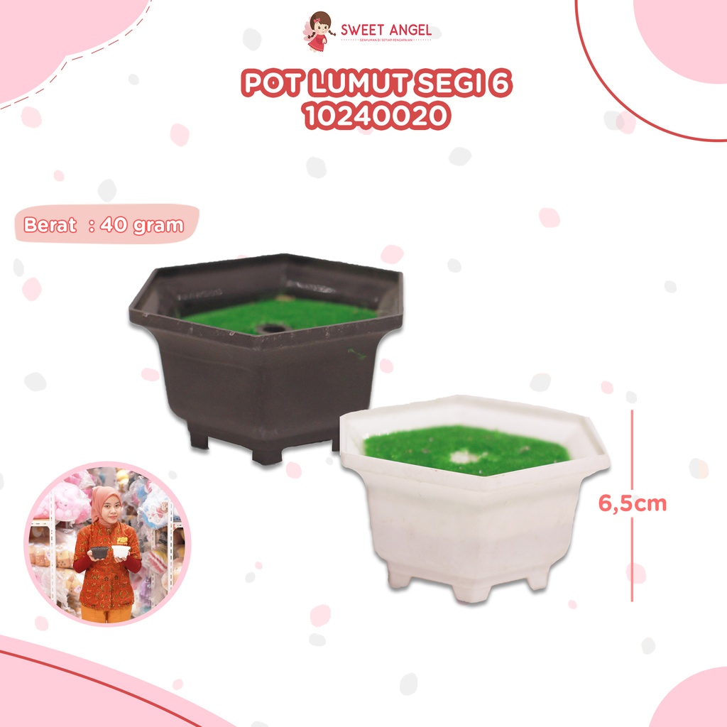 [10240020] POT LUMUT SEGI 6 6,5CM/140PCS