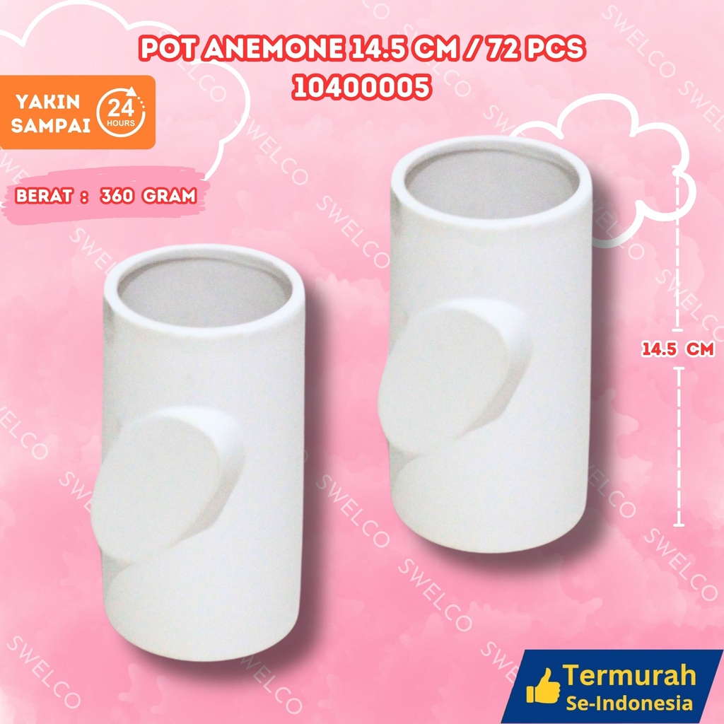 POT ANEMONE 14.5CM/72PCS