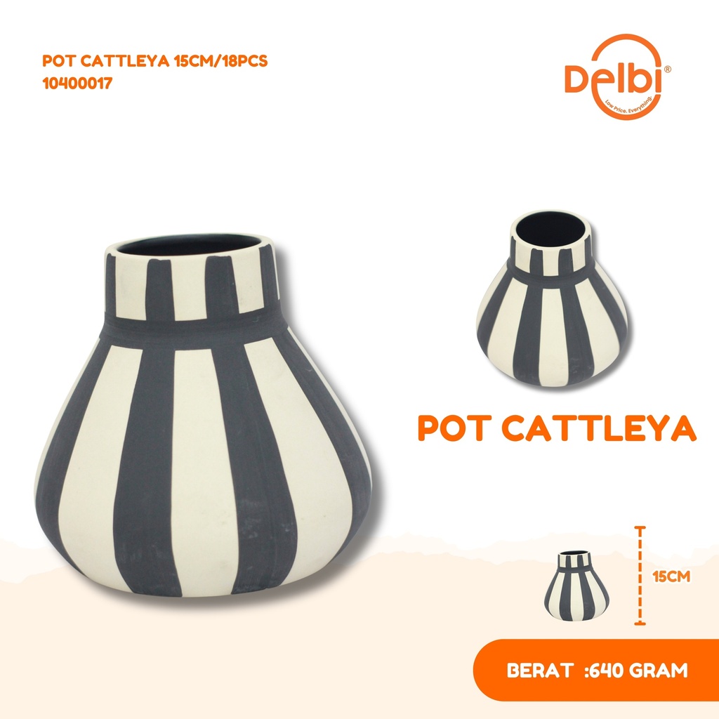 POT CATTLEYA 15CM/18PCS