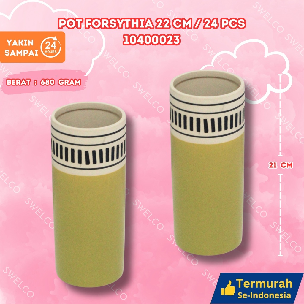 POT FORSYTHIA 22CM/24PCS