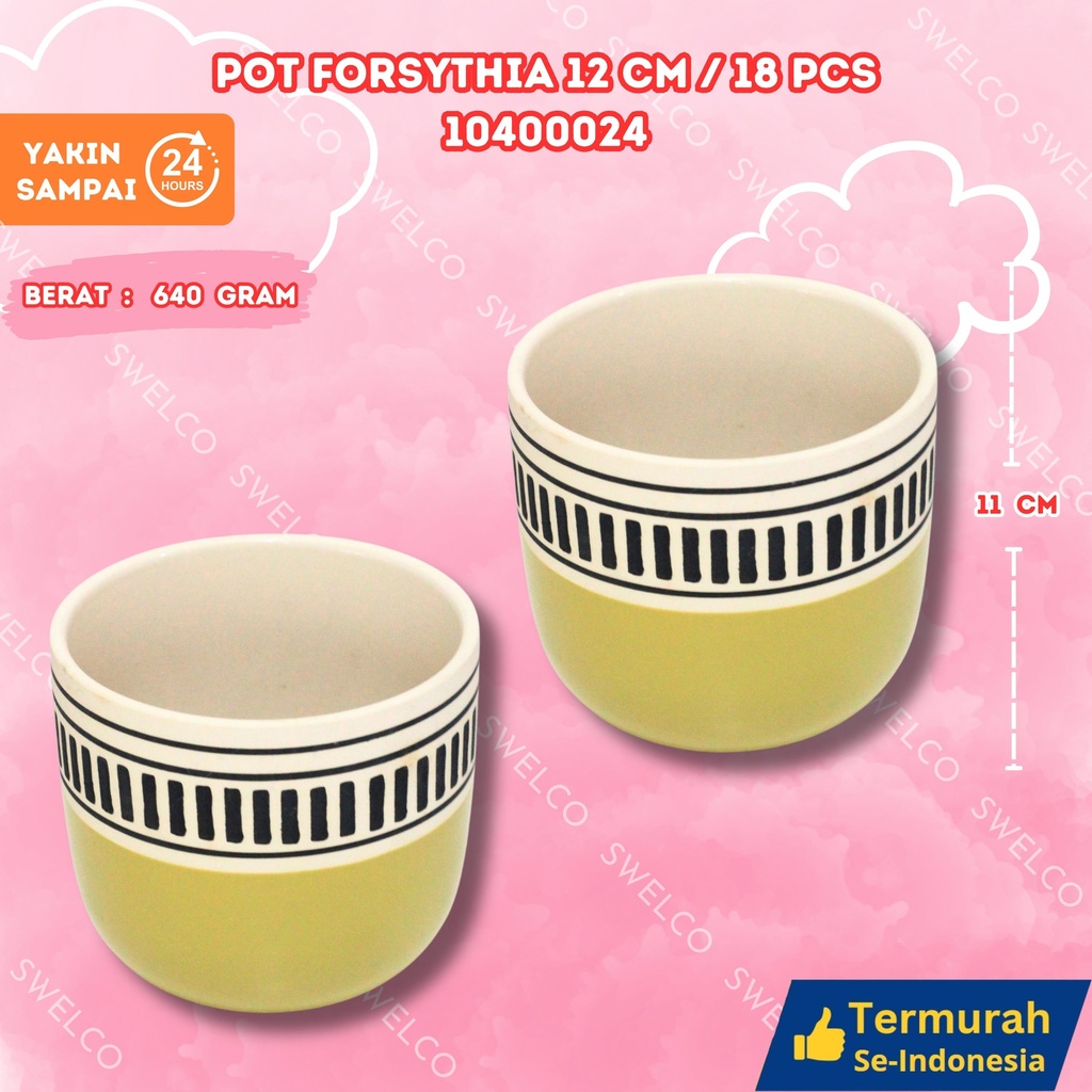 POT FORSYTHIA 12CM/18PCS