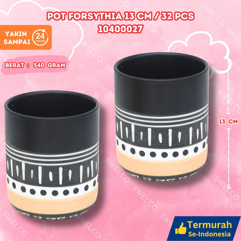 POT FORSYTHIA 13CM/32PCS