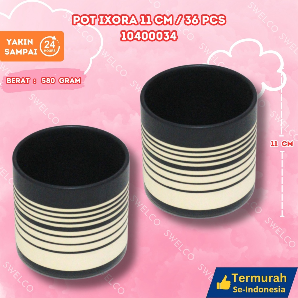 POT IXORA 11CM/36PCS