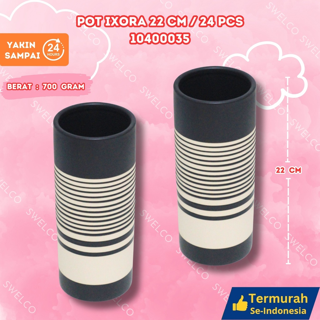 POT IXORA 22CM/24PCS