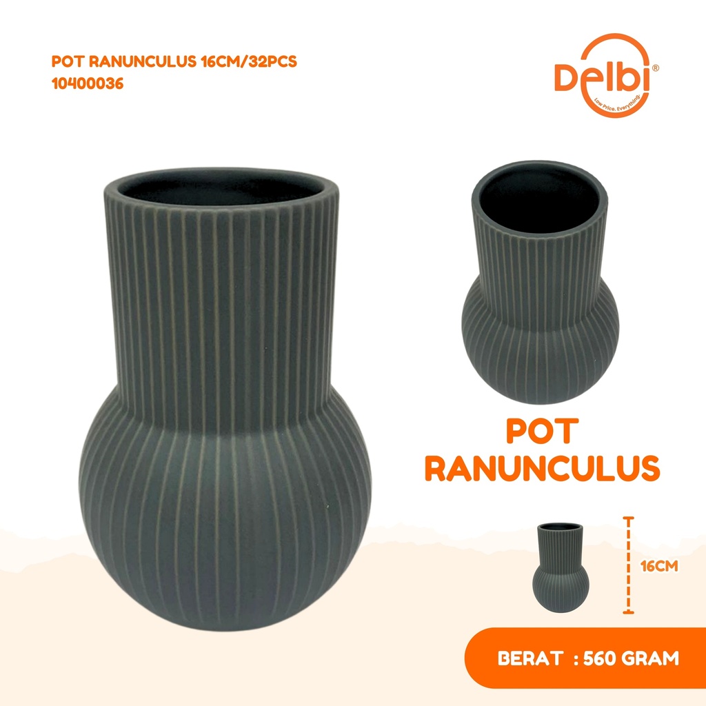 POT RANUNCULUS 16CM/32PCS