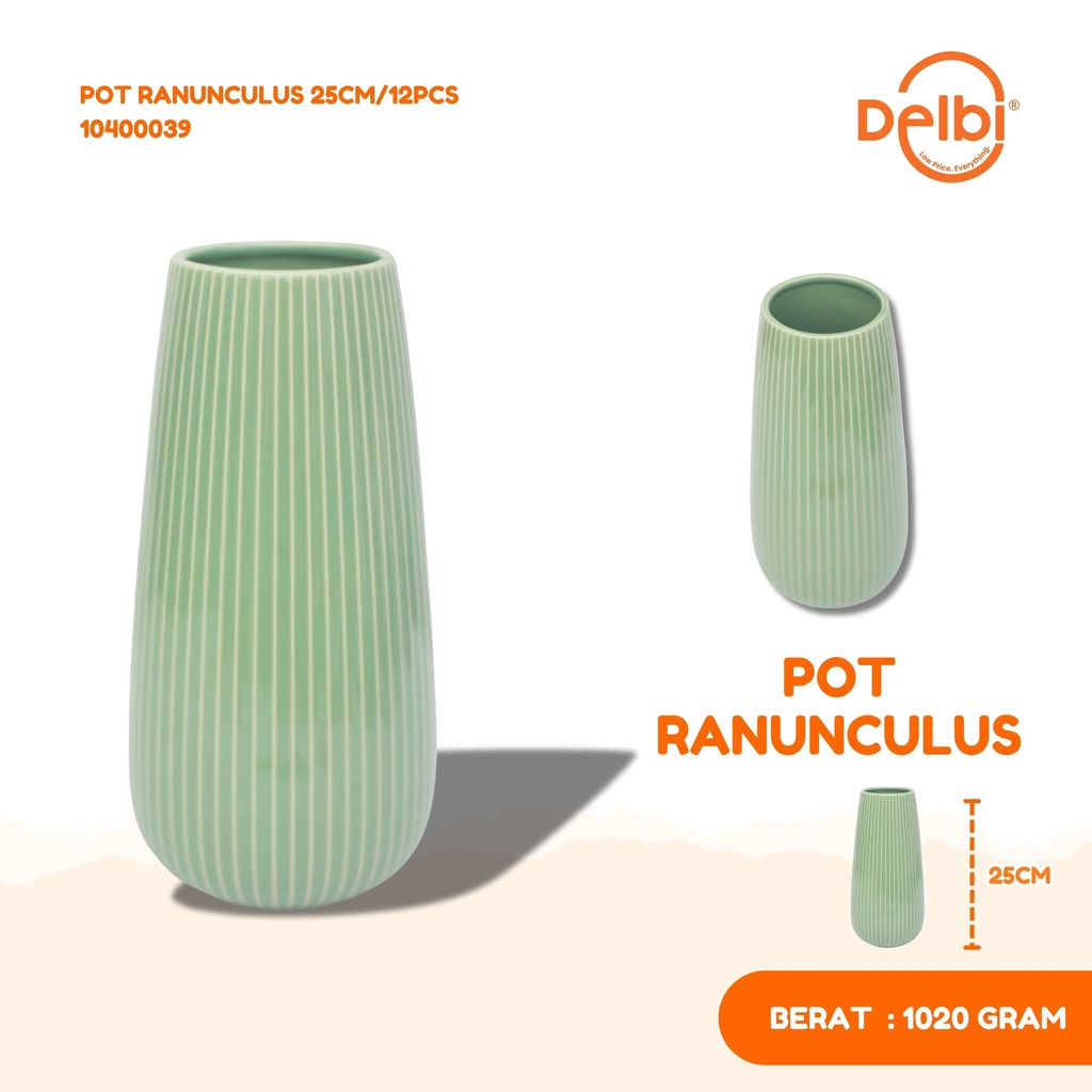 POT RANUNCULUS 25CM/12PCS