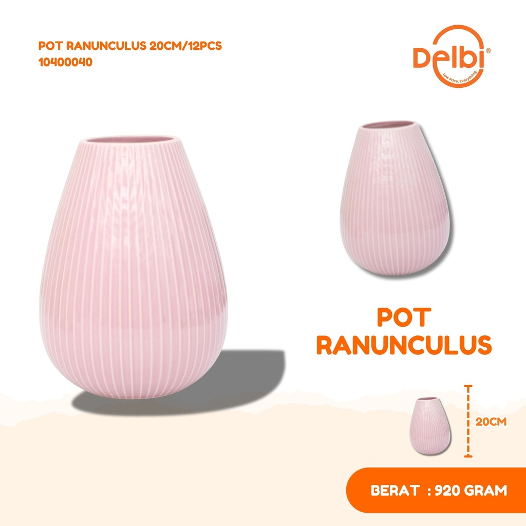 POT RANUNCULUS 20CM/12PCS
