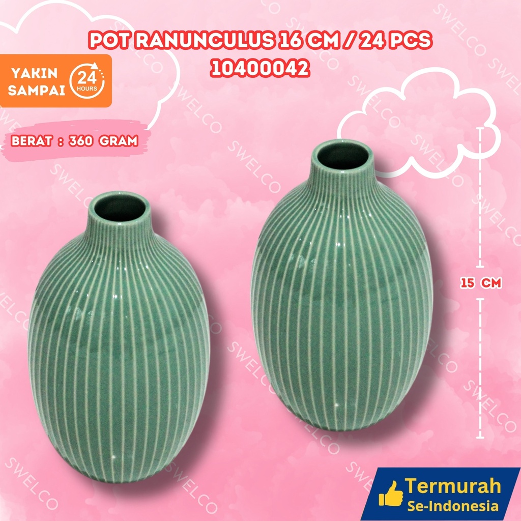 POT RANUNCULUS 16CM/24PCS