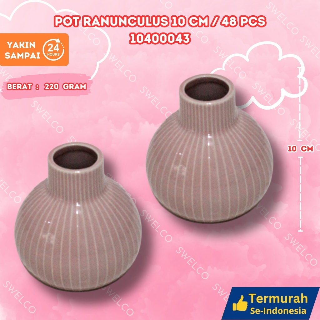 POT RANUNCULUS 10CM/48PCS