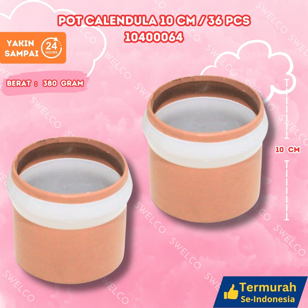 [10400064] POT CALENDULA 10CM/36PCS