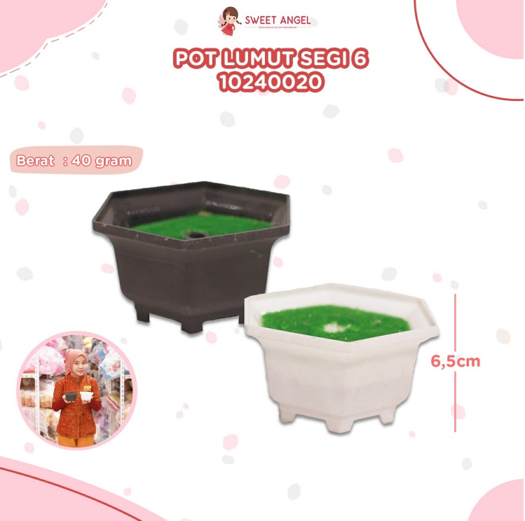 POT LUMUT SEGI 6 6,5CM/140PCS