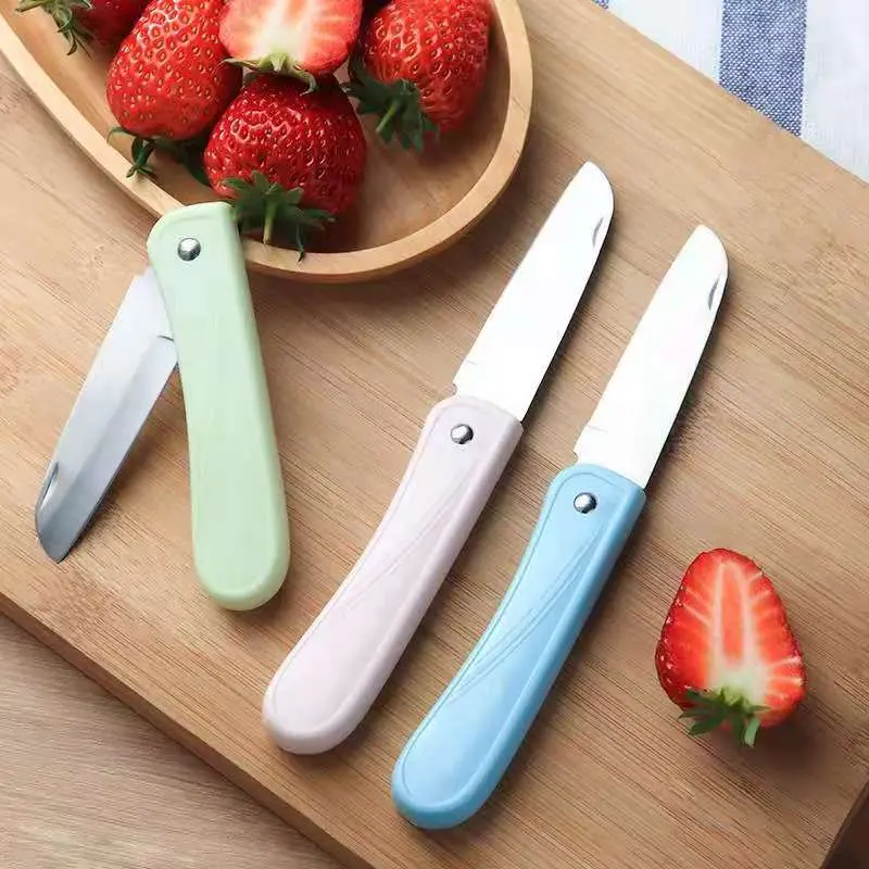 [72353] 021 PISAU BUAH LIPAT WARNA MACARON PASTEL BX40 BX2000