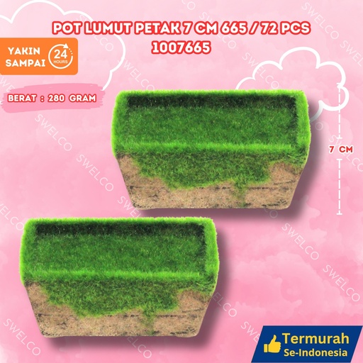 [1007665] POT LUMUT PETAK 7CM 665/72PCS