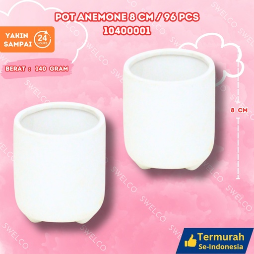 [10400001] POT ANEMONE 8CM/96PCS