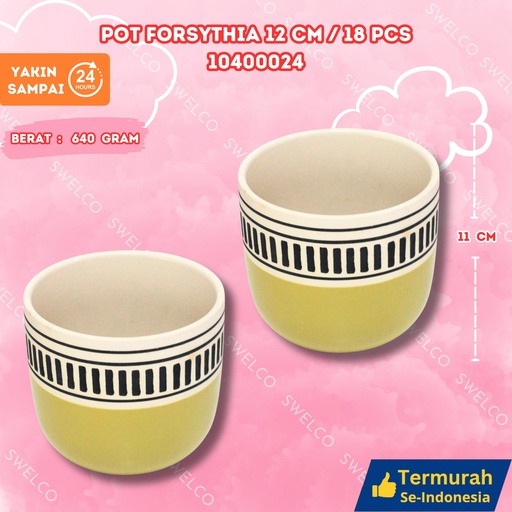 [10400024] POT FORSYTHIA 12CM/18PCS